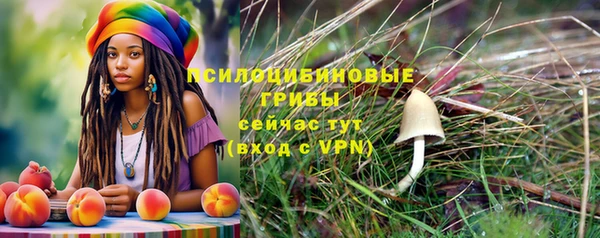 марки nbome Аркадак