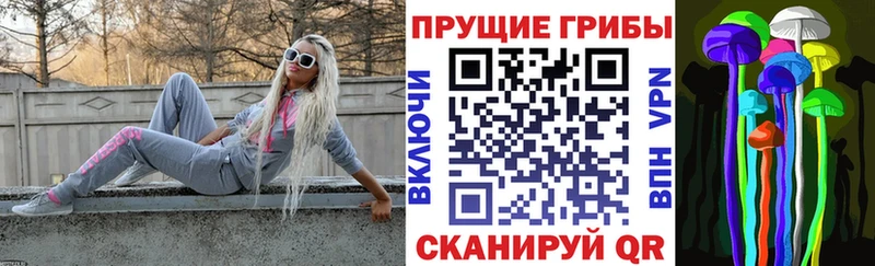 Псилоцибиновые грибы Psilocybine cubensis купить Пучеж